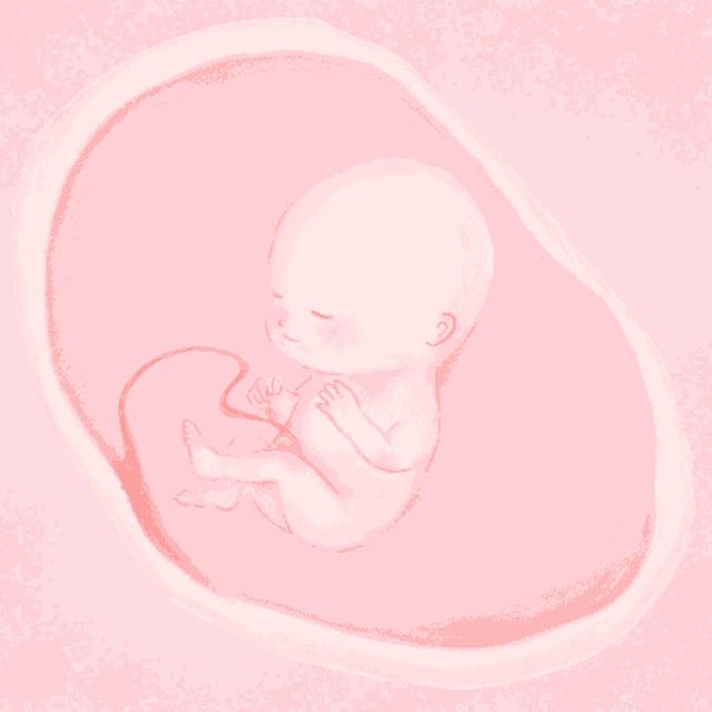 连体人该怎么结婚生子,邦克兄弟连体人