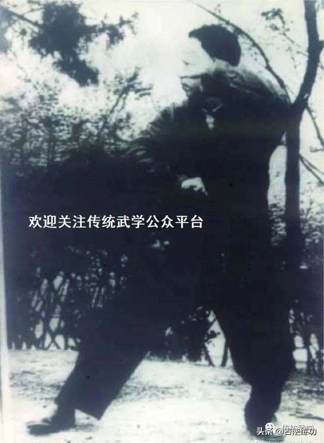 太极拳中的圆裆怎样做,太极拳裆是指什么位置