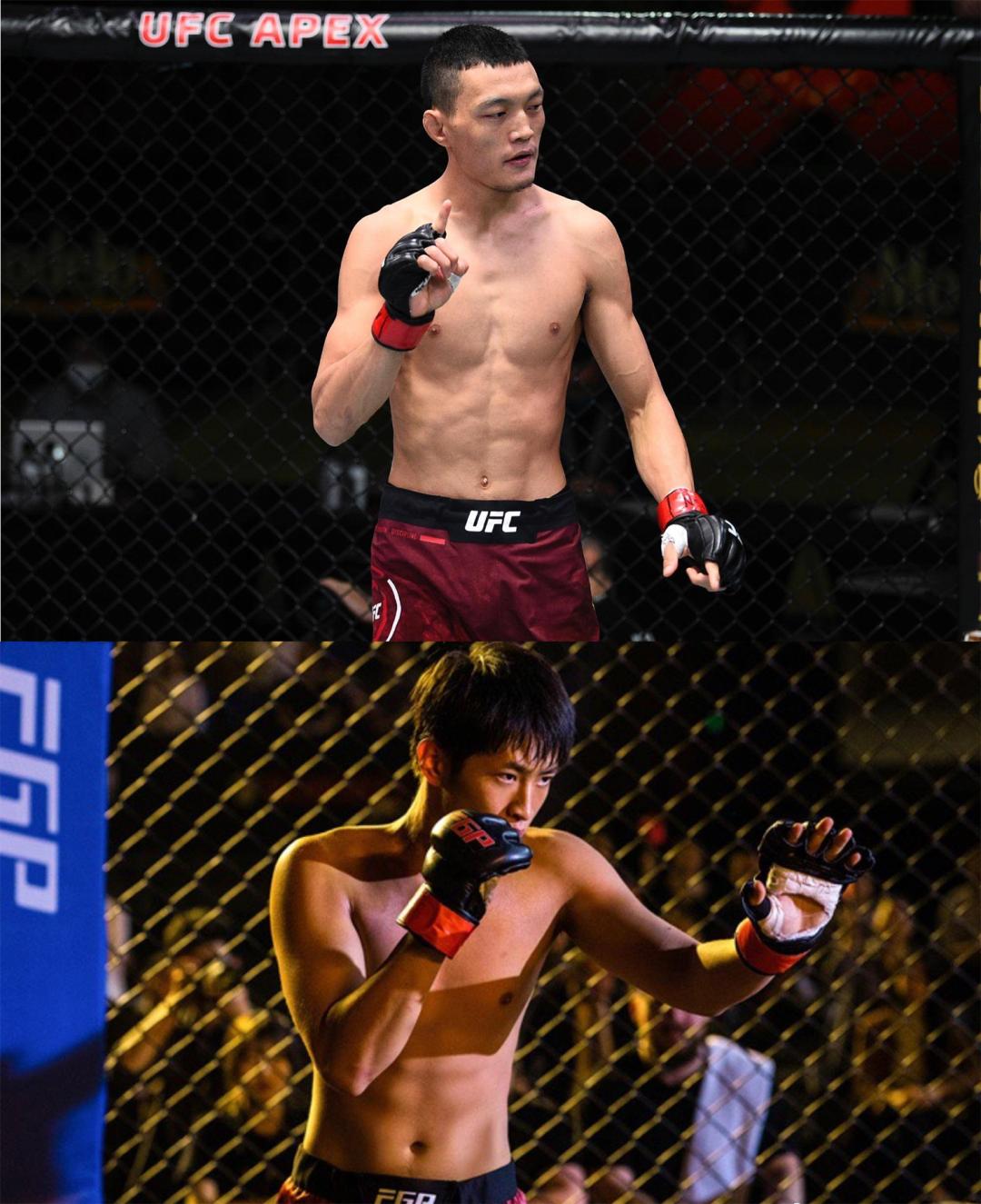 八角笼中揭露了什么,八角笼中格斗片段技术解析