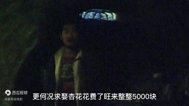 蒋雯丽拍的农村电影近期,蒋雯丽最感人的视频