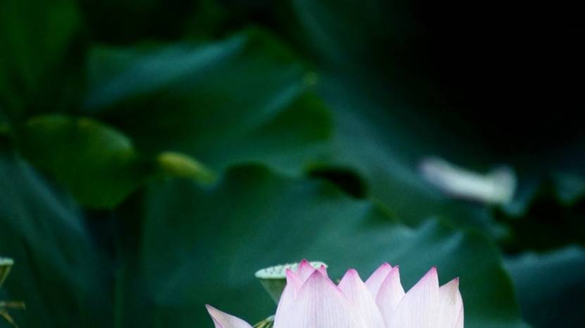 睡眠模式怎样定两个闹钟,睡眠状况可以设置2个闹钟吗