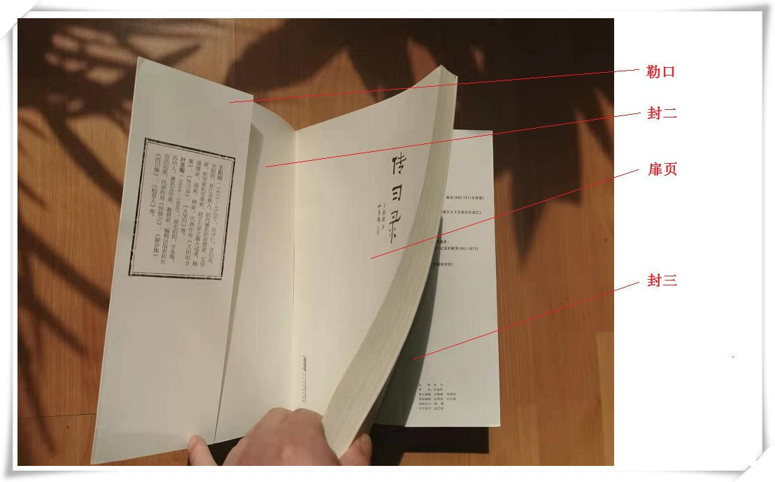 大珊老师：我们习以为常的“书”原来有这么多奥妙