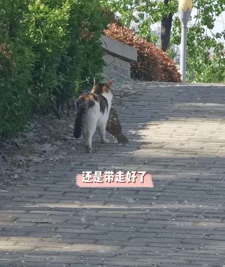 闺蜜送了一个房子,闺蜜送给我一个房子