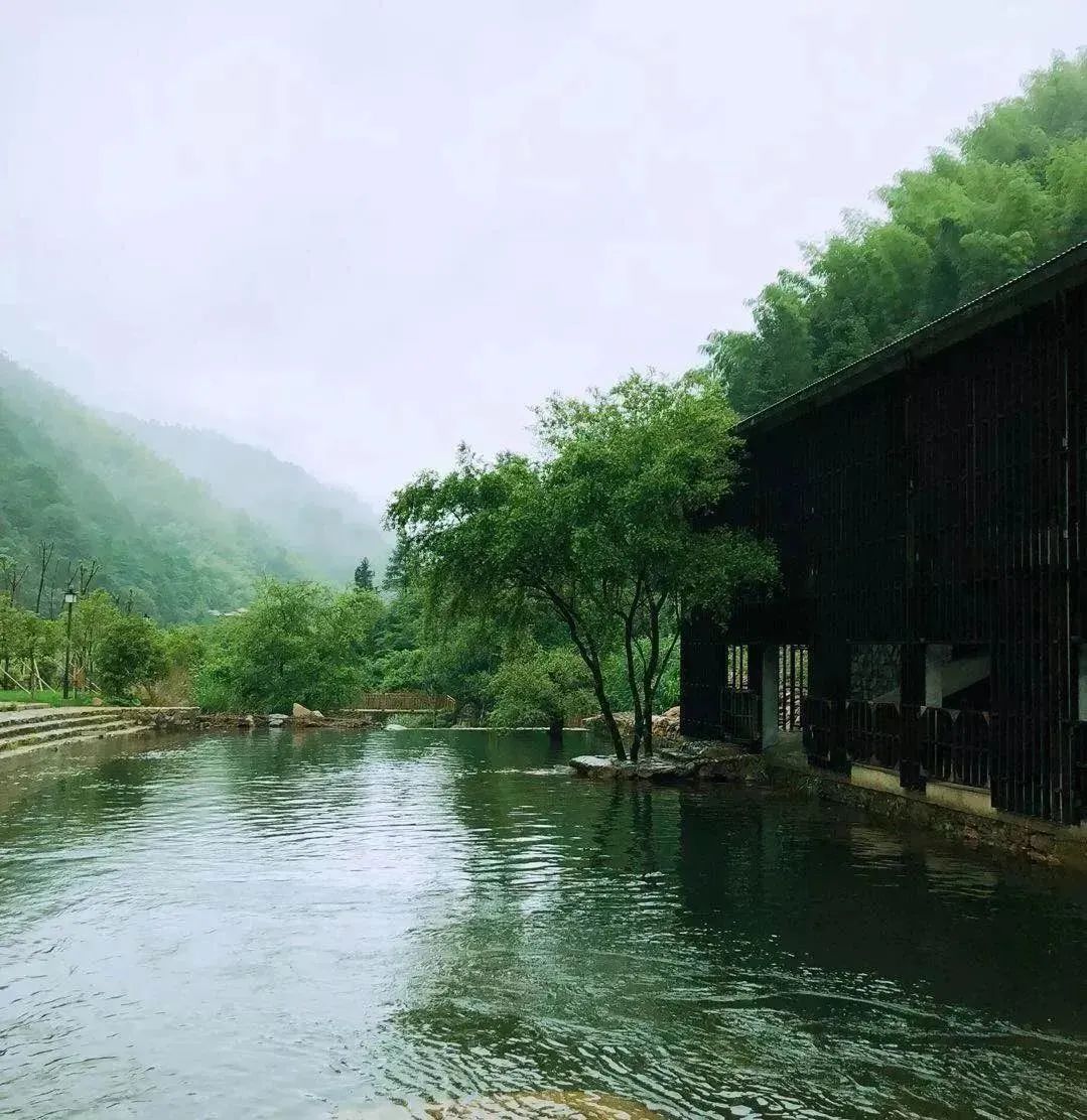 【上饶天下SHOW之广信区】中华蜜蜂谷:藏在五府山竹海密林中的蜜蜂“乐园”