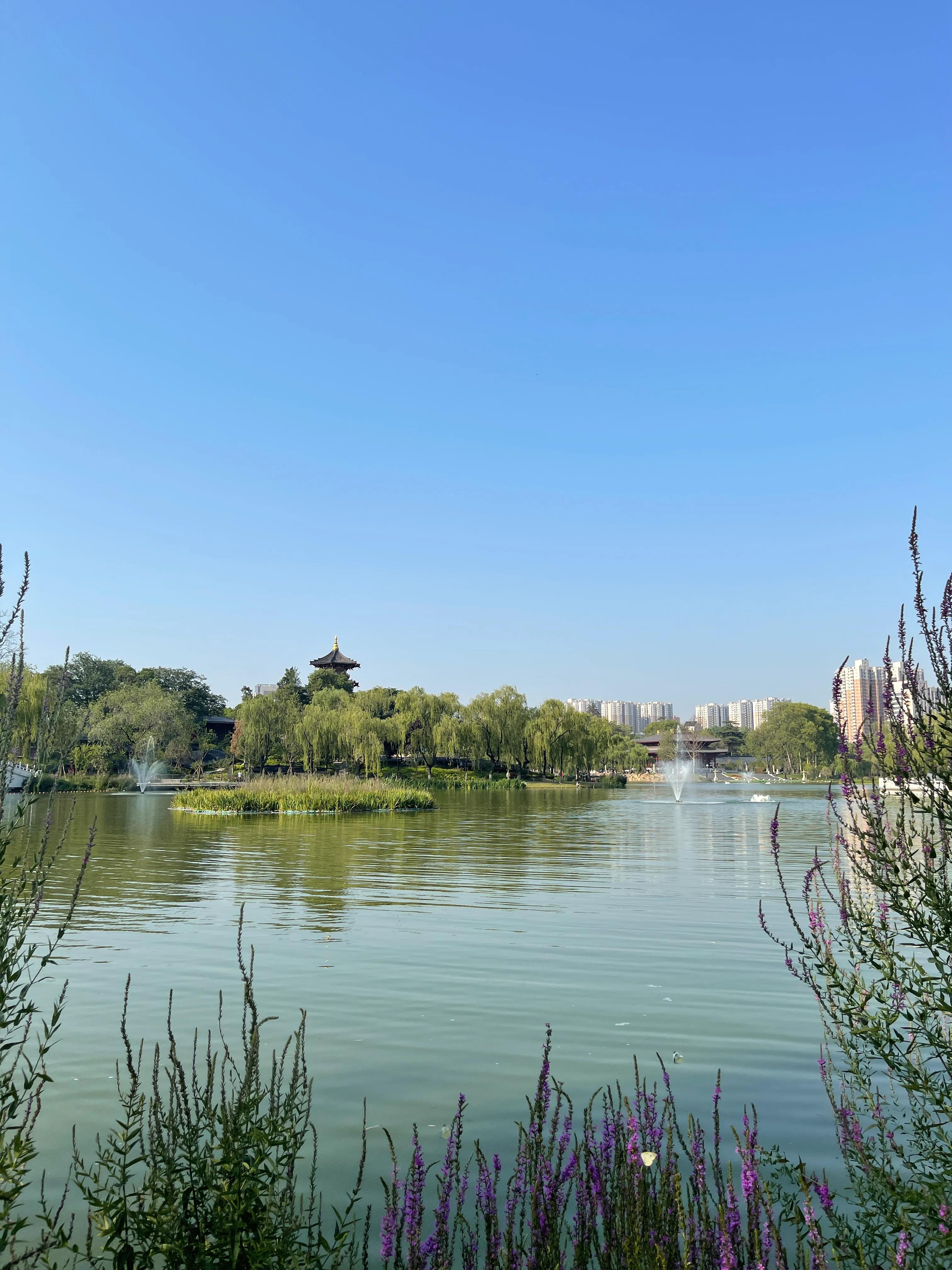 兴庆公园长乐之声合唱团直播现场,兴庆公园大合唱