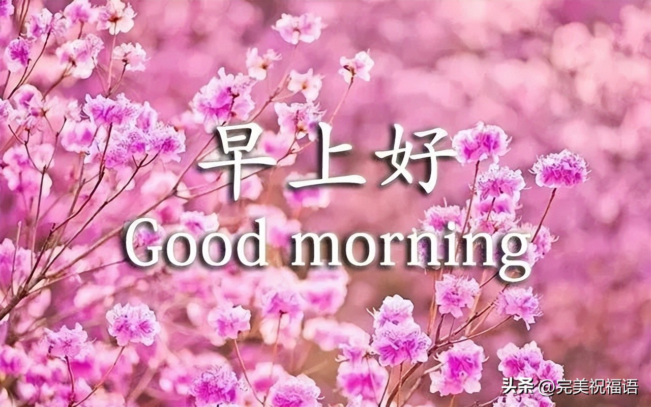 早上好表情图大全最新,早上好祝福健康平安动画表情