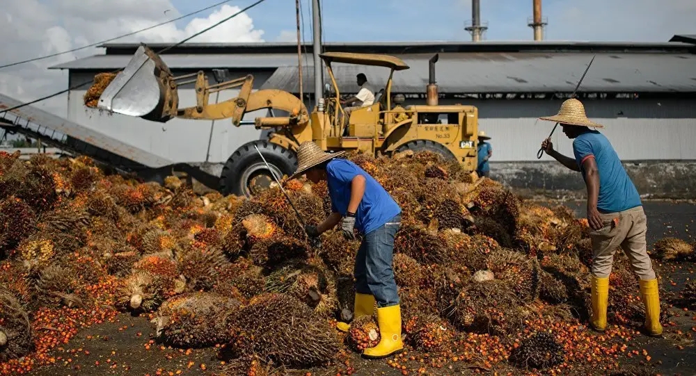 终止与华合作，千亿订单送给美国却遭无视，印尼只得自食苦果