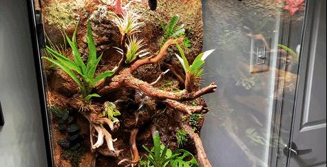 在卧室造一片弱肉强食的危险雨林，会打雷还真的会下雨