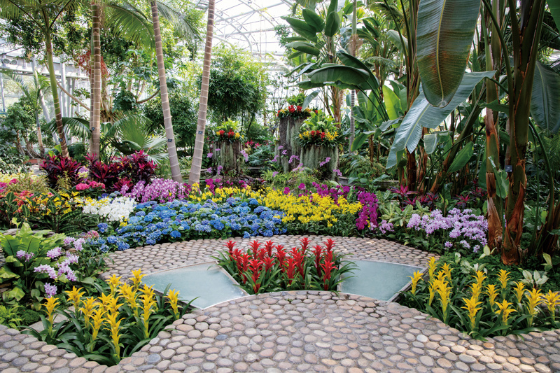 非凡十年林草建设的完美答卷