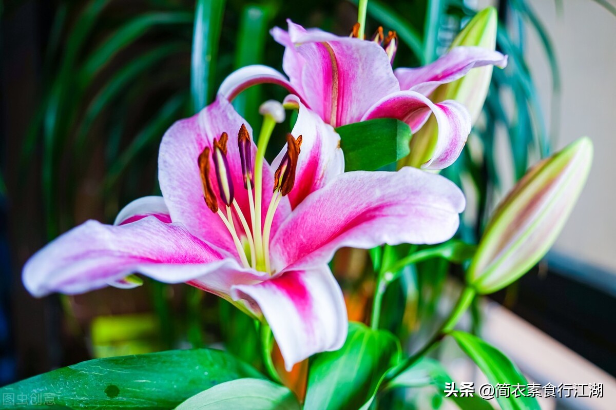 她做保姆这些年豪门生活912,她做保姆这些年之豪门生活第四集