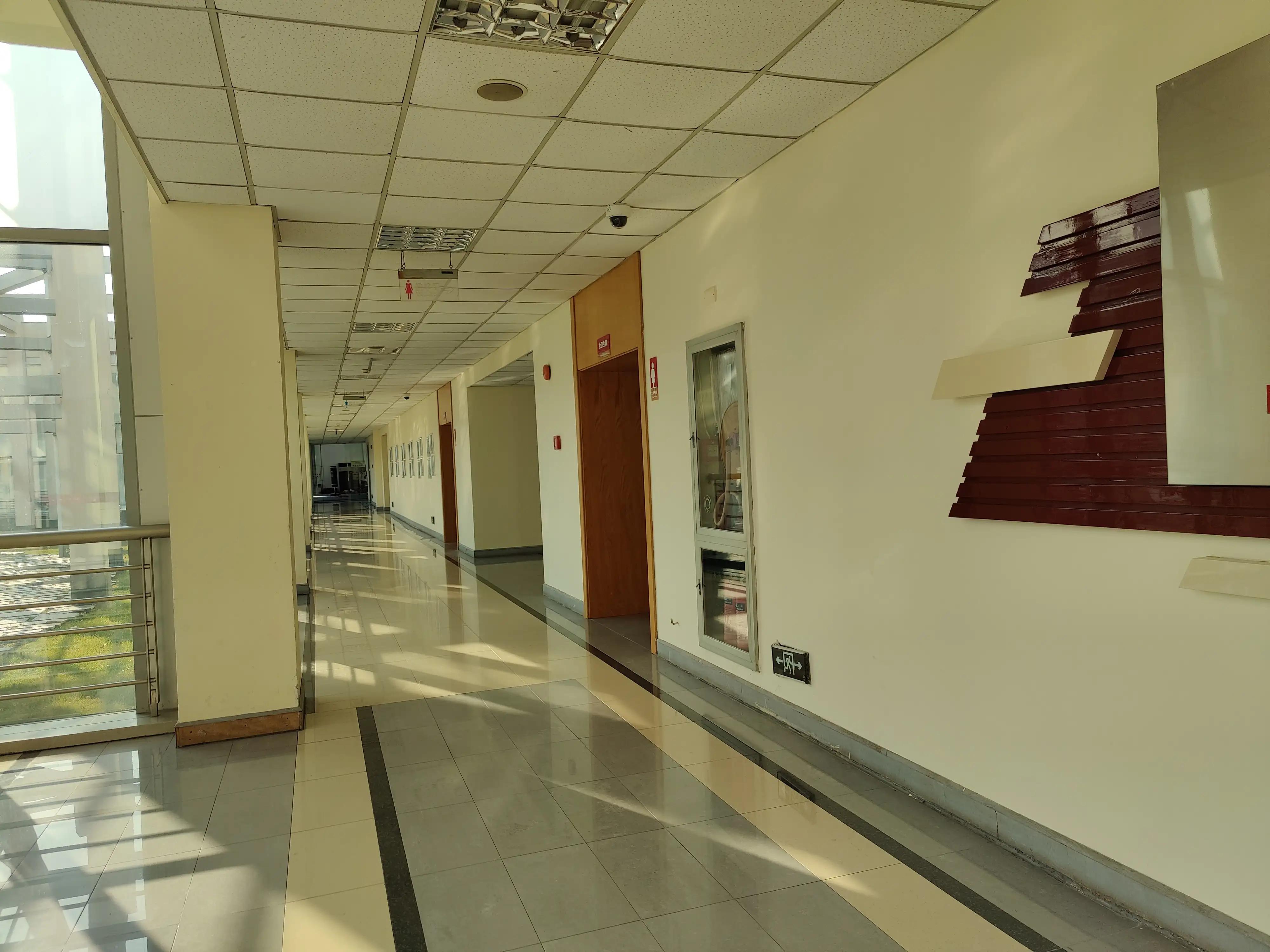 上海中医药大学游览,上海大学一日游价格