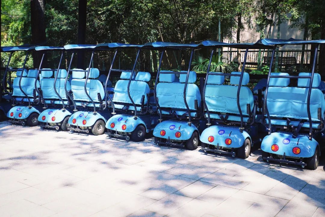 安吉亲子旅游必去的景点,安吉最新亲子旅游度假