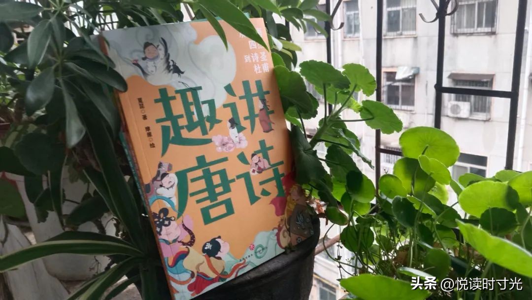 趣读唐诗宋词,掌握这些方法轻松读懂唐诗宋词