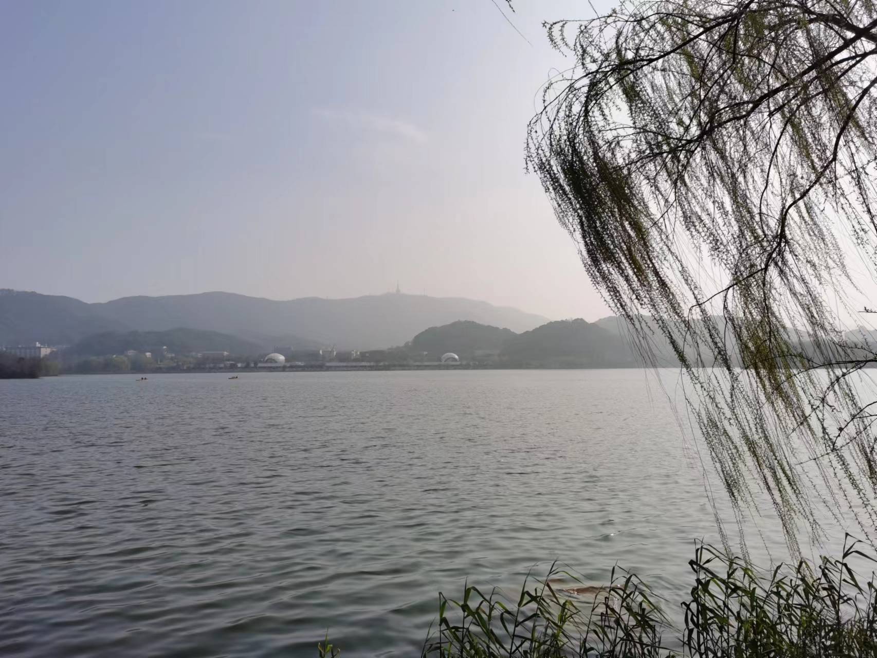 分析一篇文章的步骤,写好一篇好文章的技巧