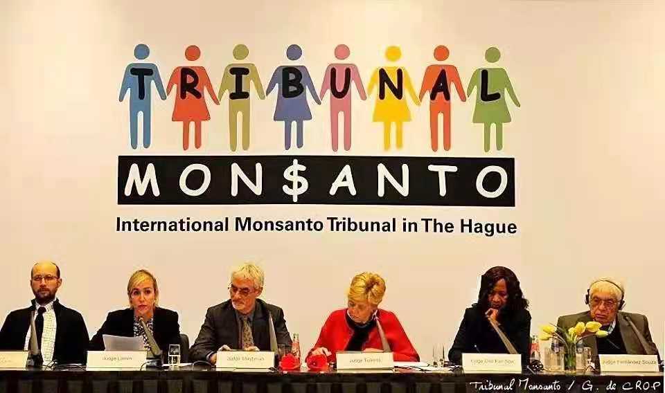 种子危机孟山都,种子巨头孟山都