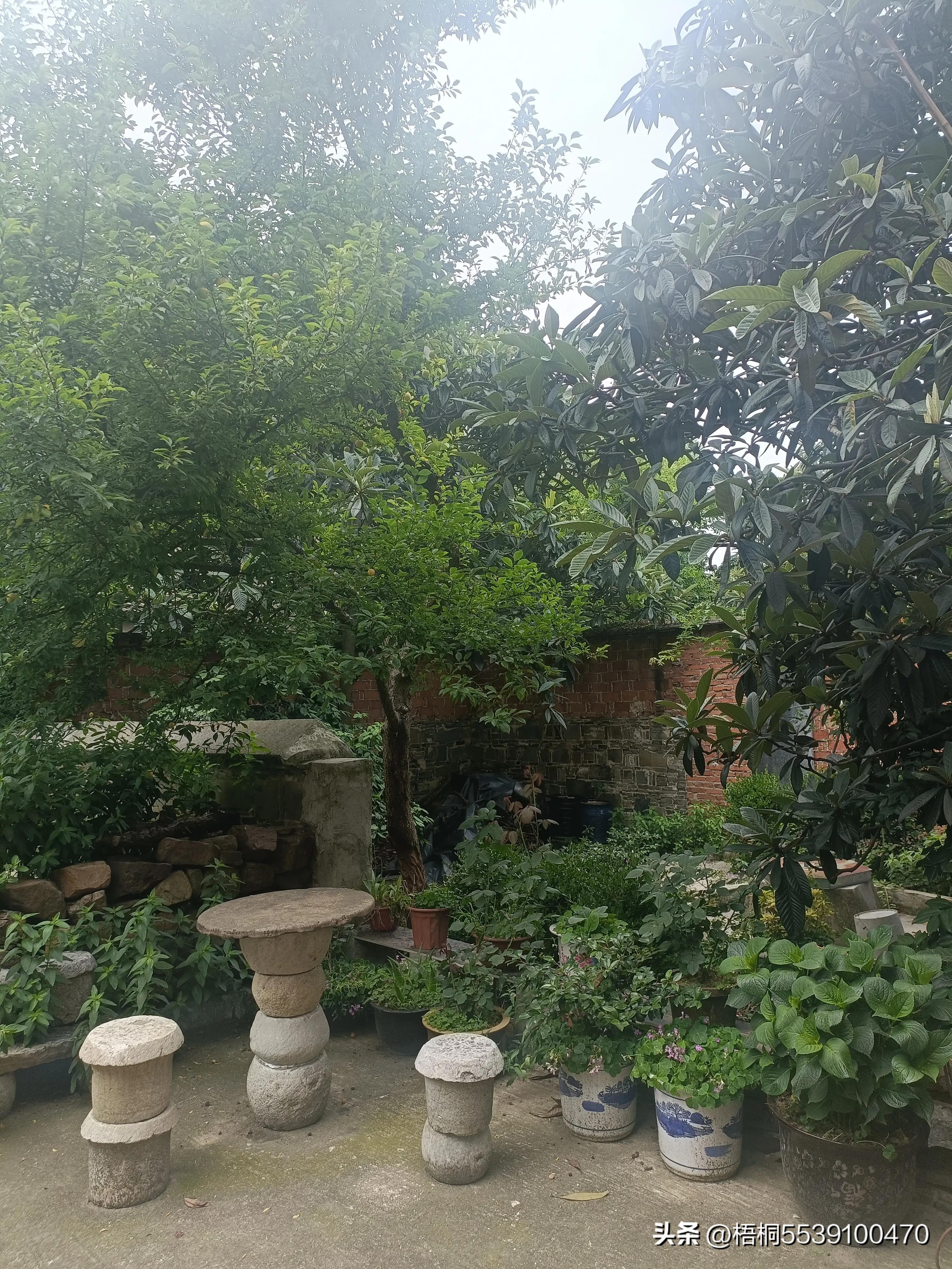 苏州洞庭西山有什么好玩的,苏州太湖东山还是西山好玩