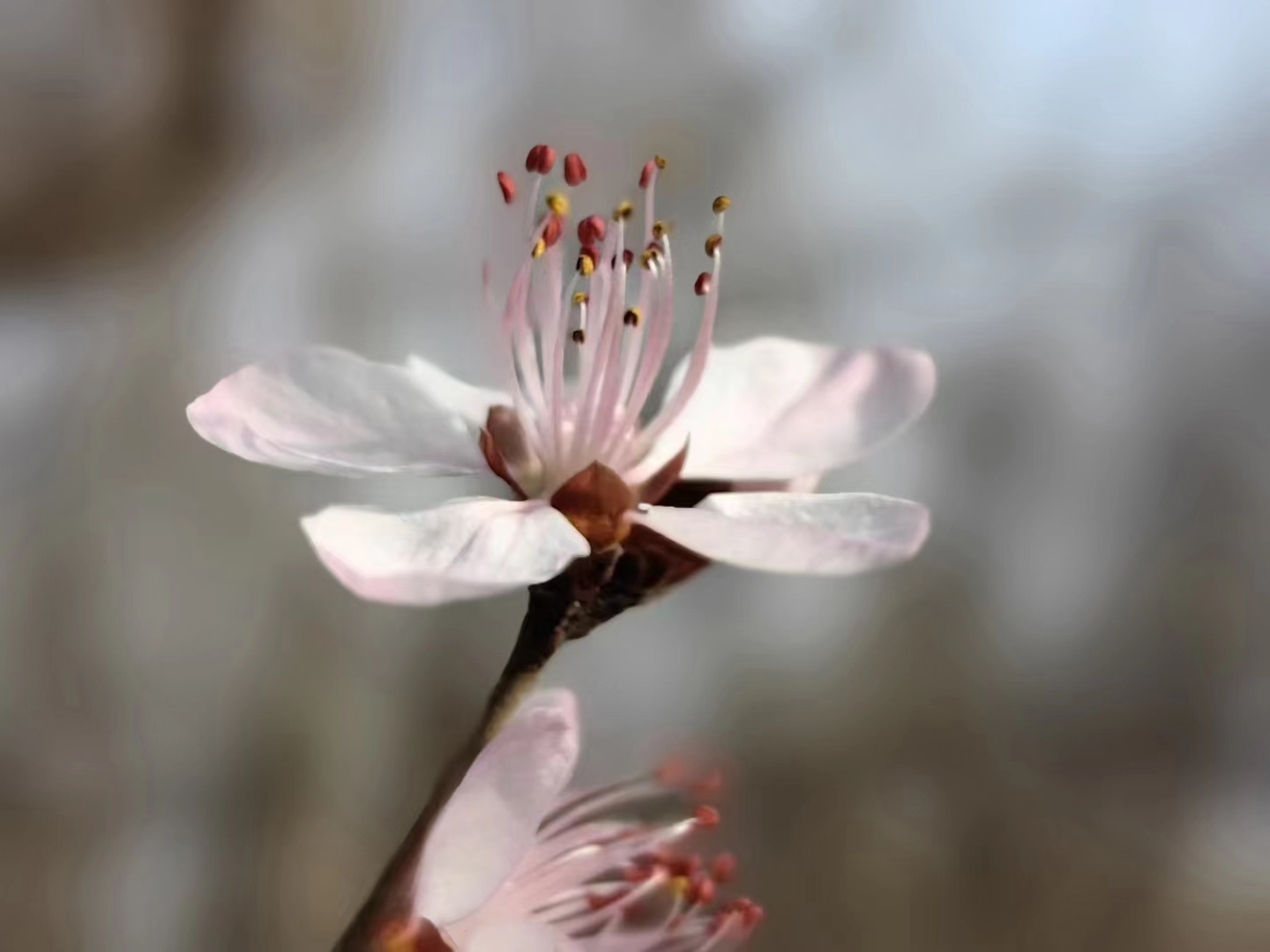 终于知道自己为啥不成功了,终于知道自己为什么不成功了