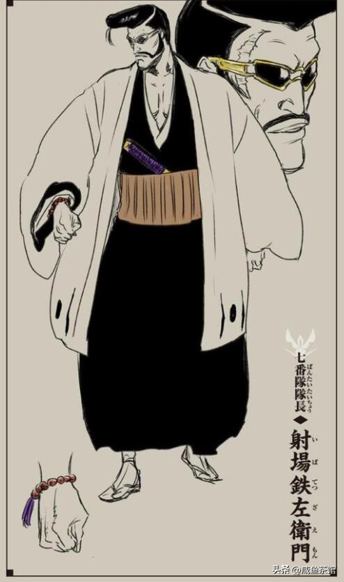 死神bleach副队长卍解合集,死神bleach护庭十番队副队长