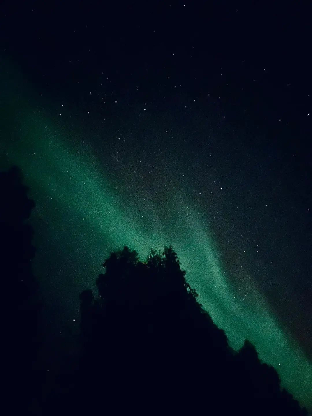 芬兰交换经验分享丨在拉普兰大学交换是一种什么样的体验？
