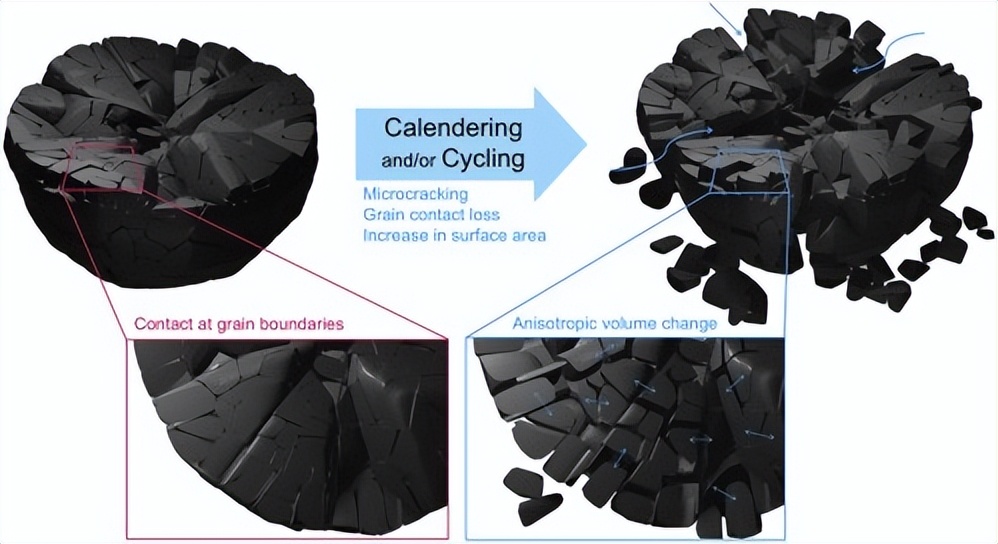 LiNiO2正极材料中Al和W的力学强化机制及其对电池性能的影响