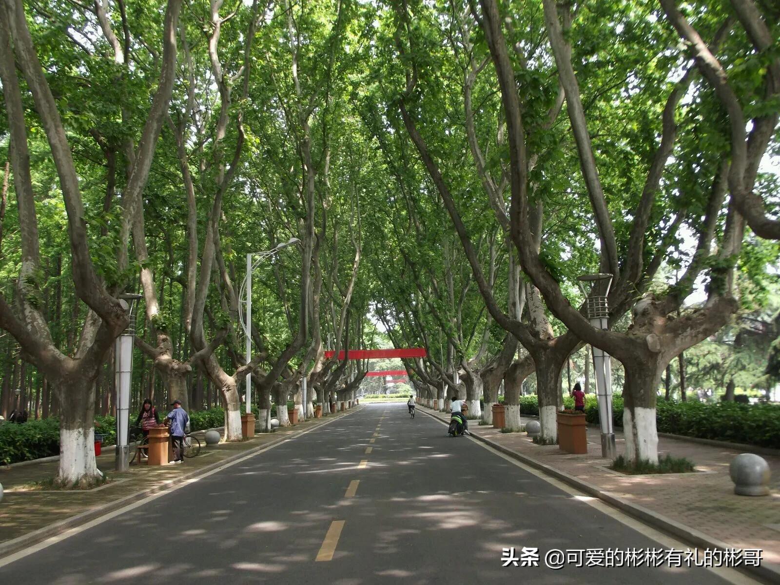 南京理工大学兵器类有什么要求,彬哥南京