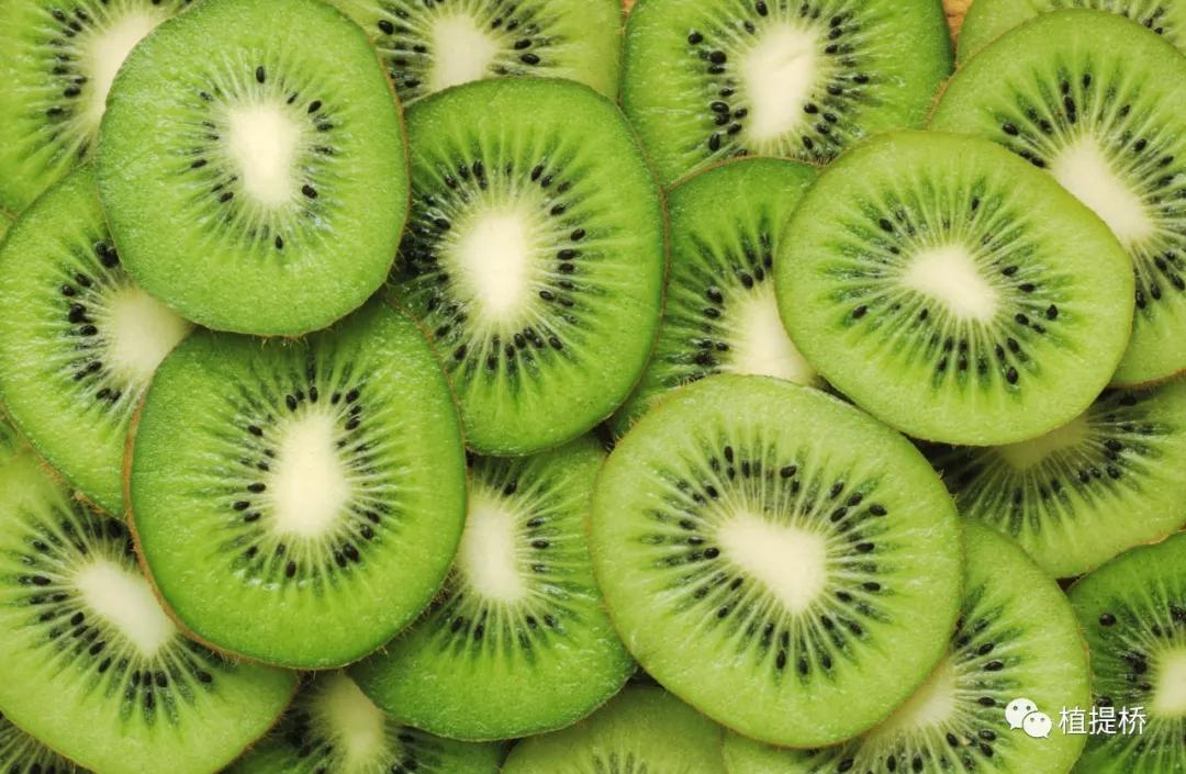 近期国外创新功能原料汇总