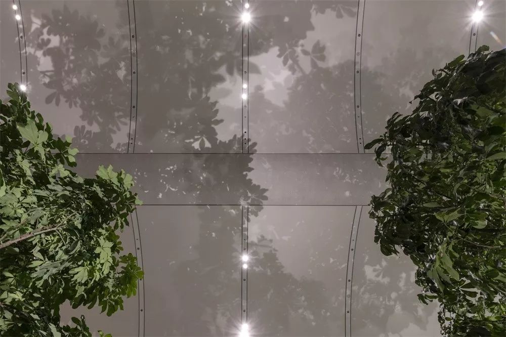 苹果迈阿密,苹果线下店极简设计