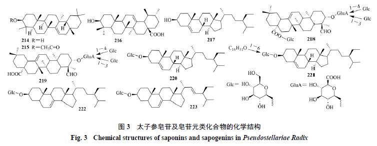 太子参的化学成分、药理作用和应用进展