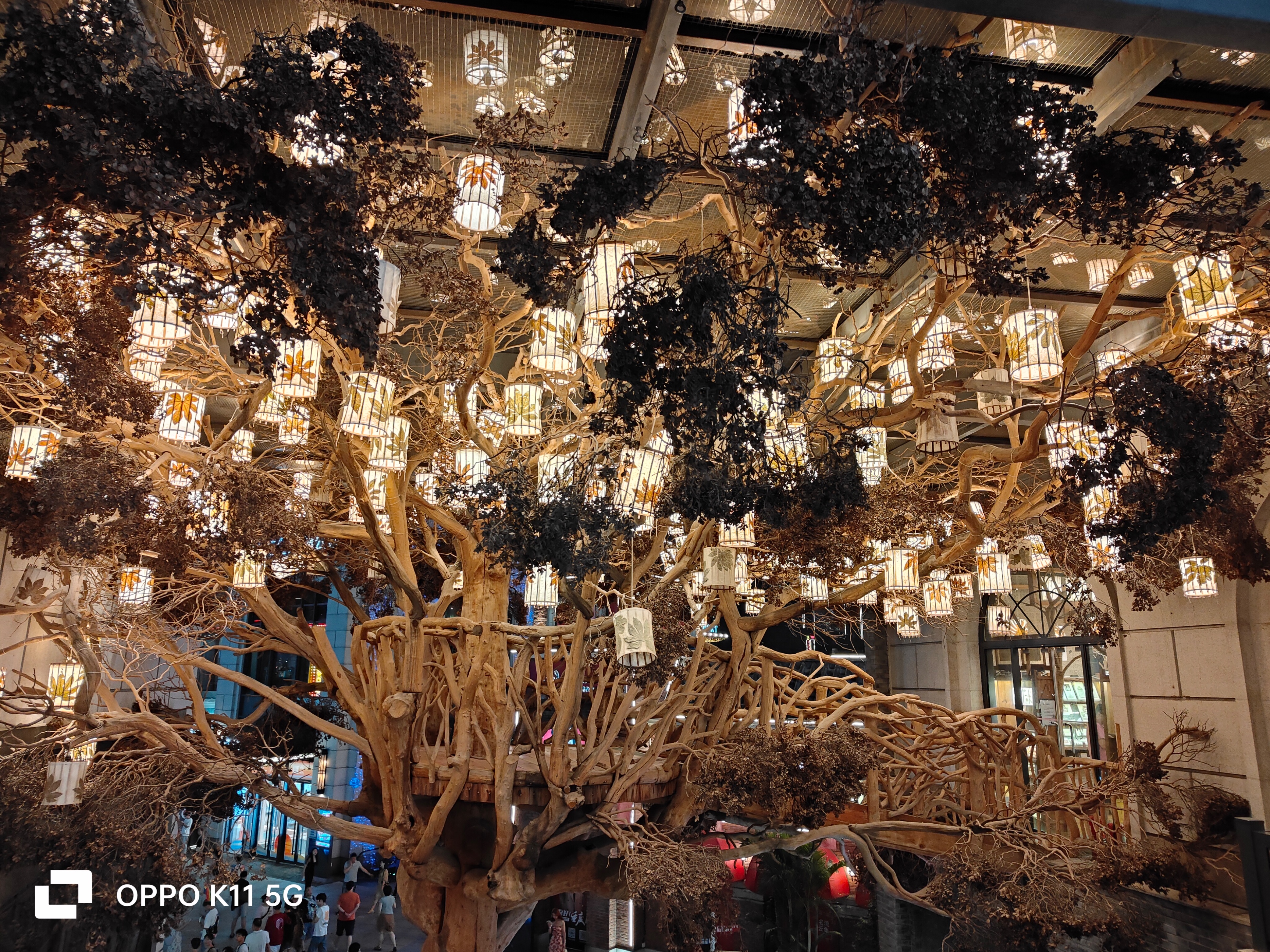 为什么oppok11画质不太好,oppok11为什么王者不能分屏