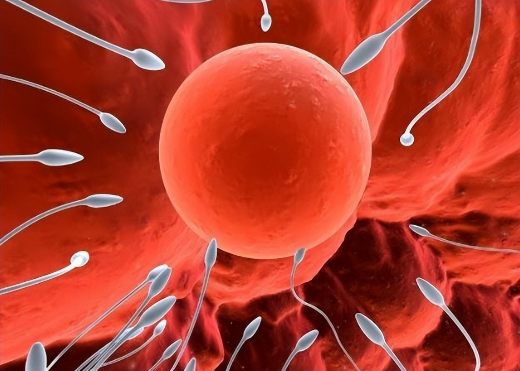 备孕很久却一直怀不上做什么检查,备孕很久了一直怀不上怎么回事