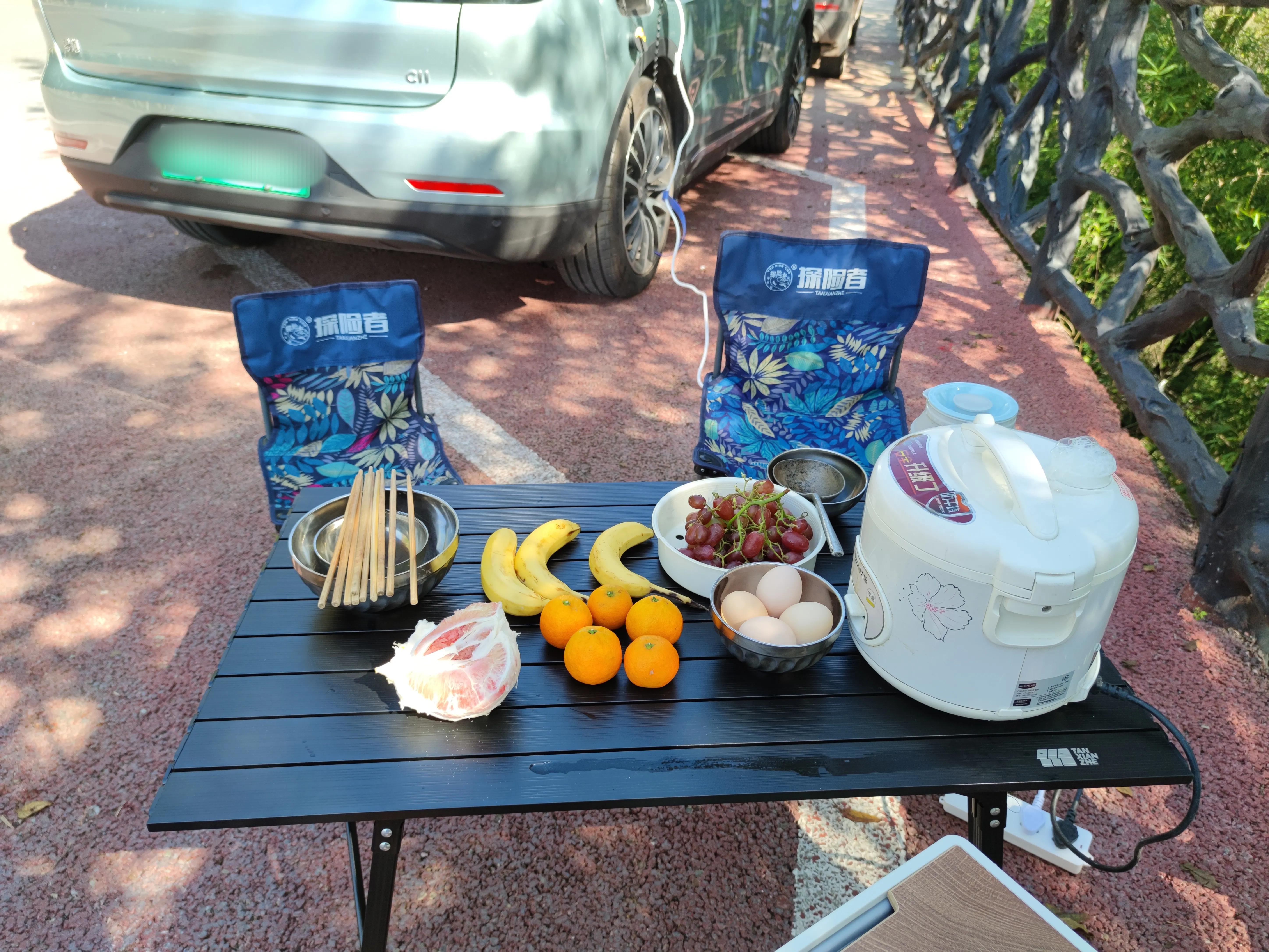 零跑C11电车春日出游计划