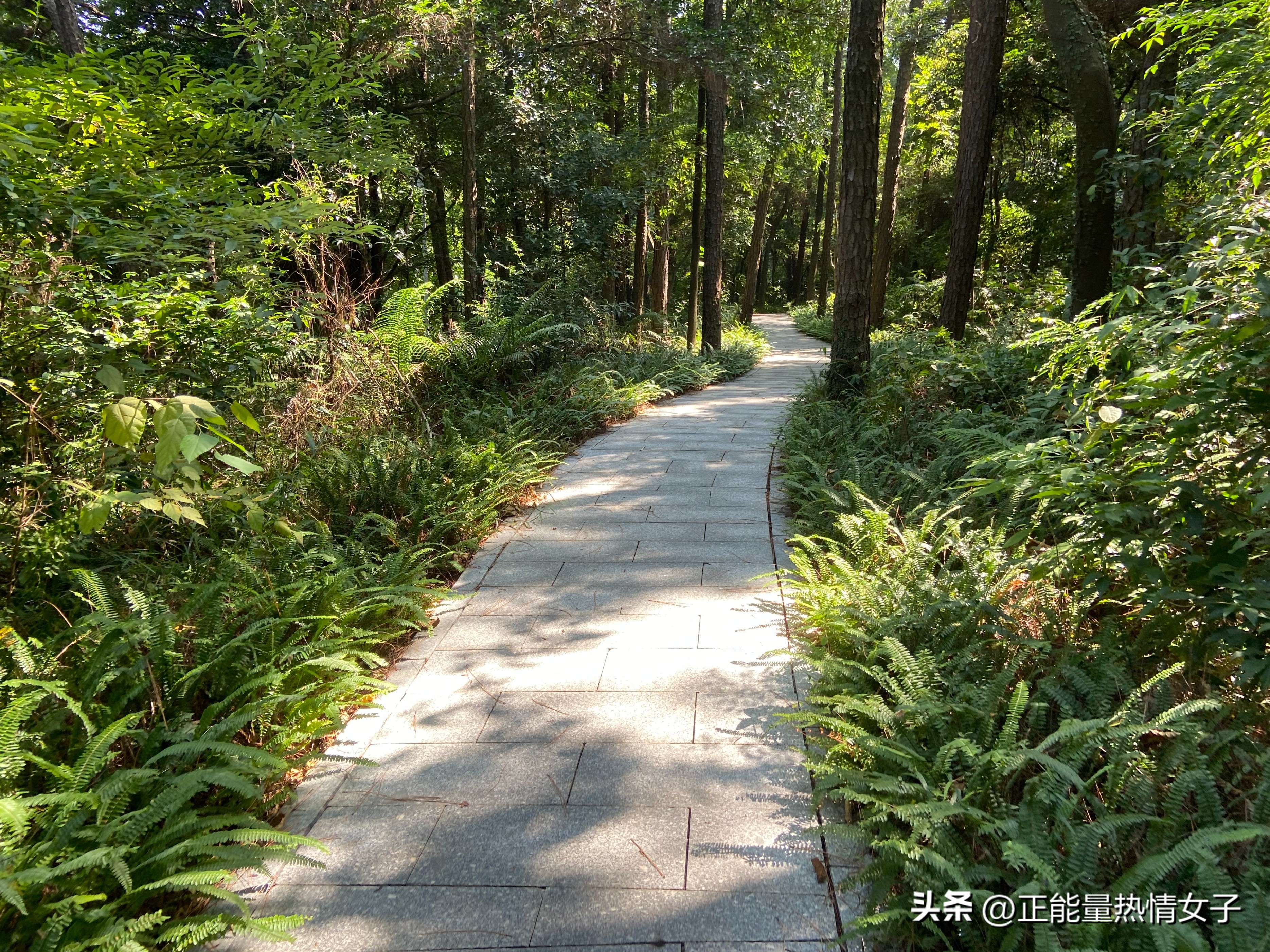 黄飞鸿故居一日游心得,黄飞鸿故里游玩攻略