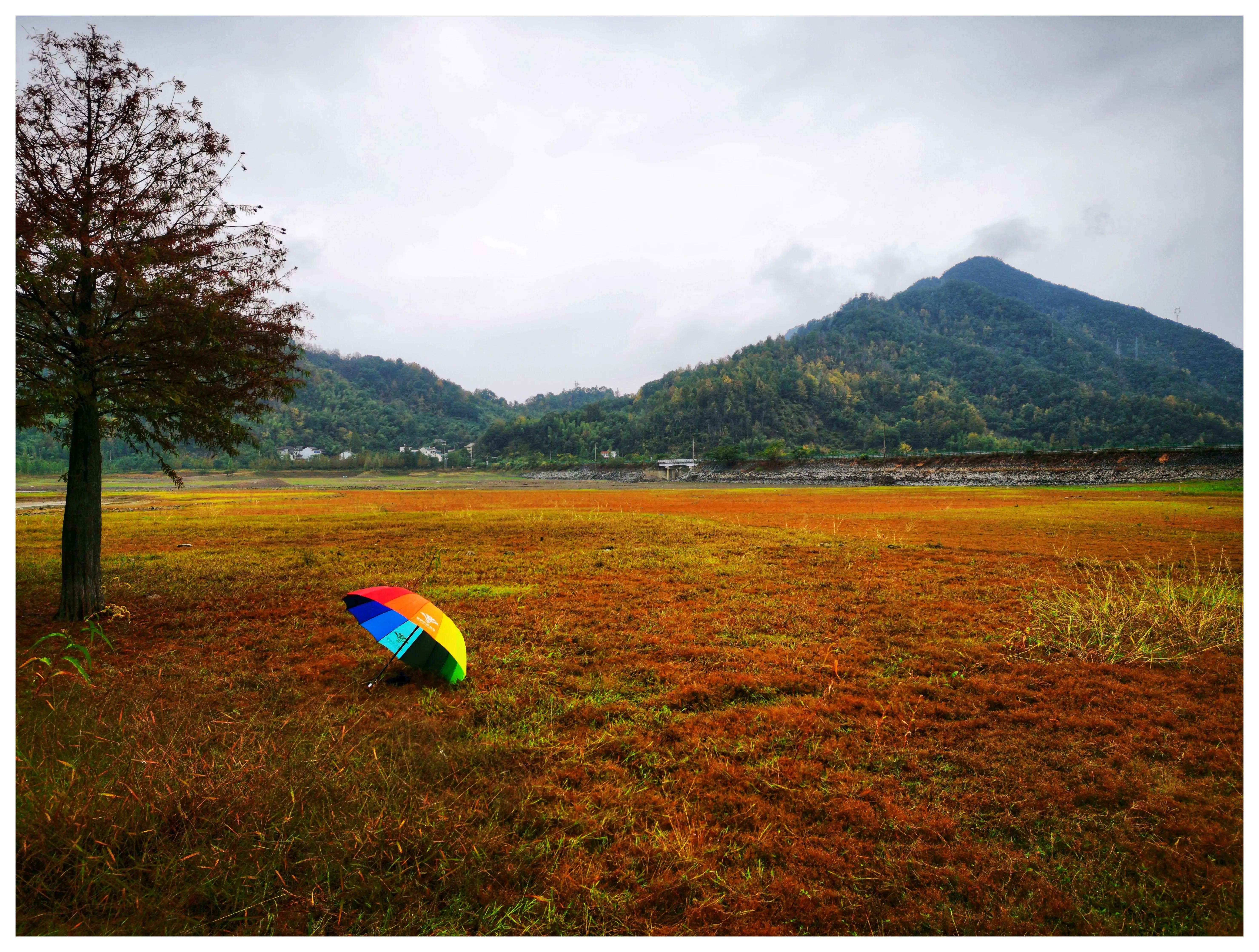 老师给我打电话谈论孩子的问题,老师来电的反应