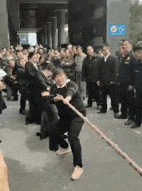 老鼠贴粘老鼠会死吗,老鼠贴粘到猫会自动掉吗