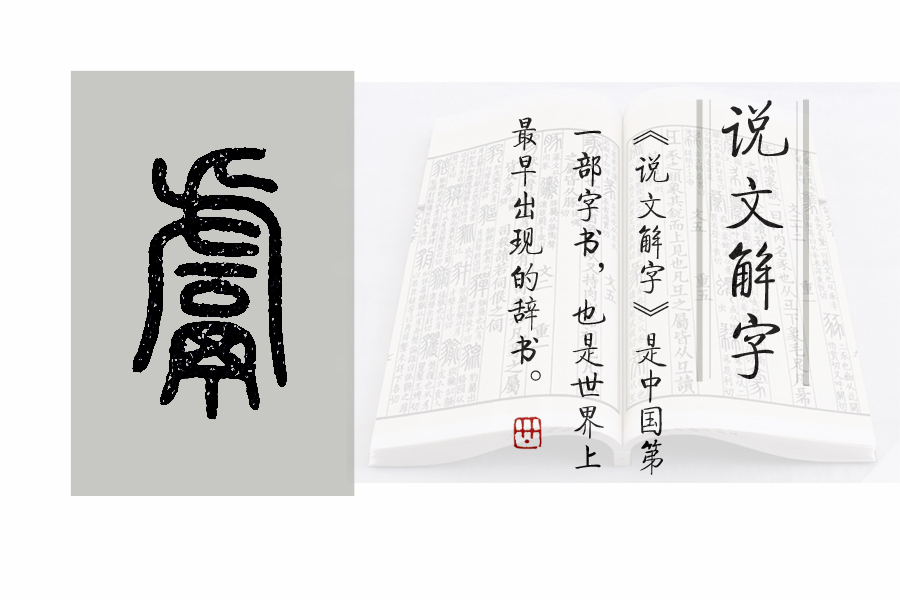 说文解字部首讲解1500字,说文解字540部首诵读视频