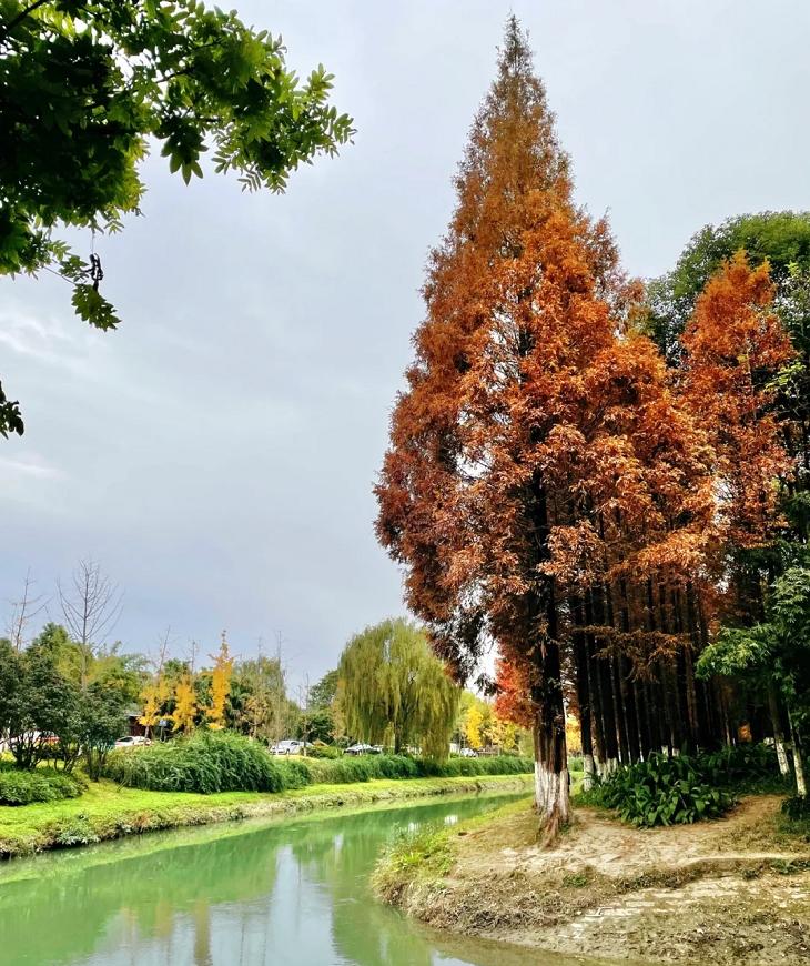 成都五一出游的宝藏路线,成都周边的宝藏打卡地