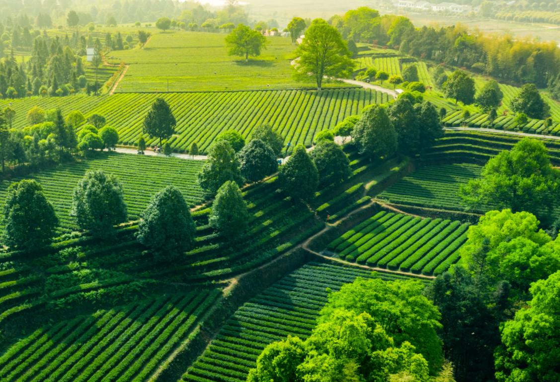 长沙周边适合避暑亲子游,长沙周边玩水避暑胜地岳麓溪谷