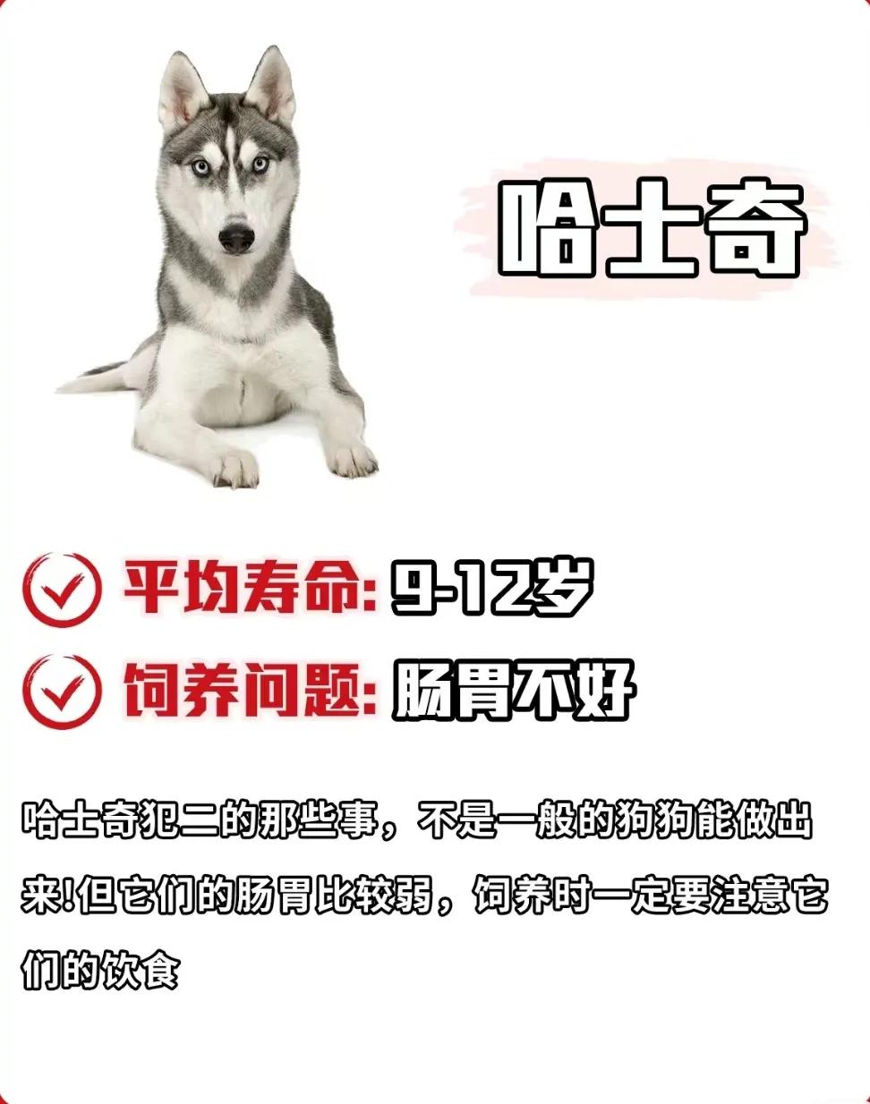 狗狗库欣氏病寿命,泰迪狗狗寿命一览表