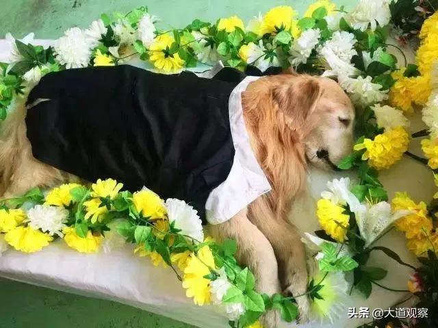 年入百万冷门高收入职业,年入百万的新行业有哪些