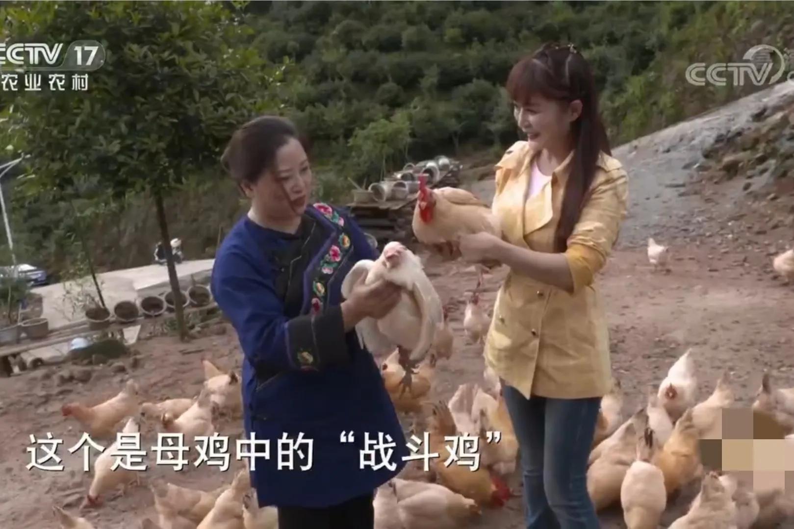 湖南女子承包500亩荒山，如今荒山变成聚宝盆，公司年销售额1.2亿