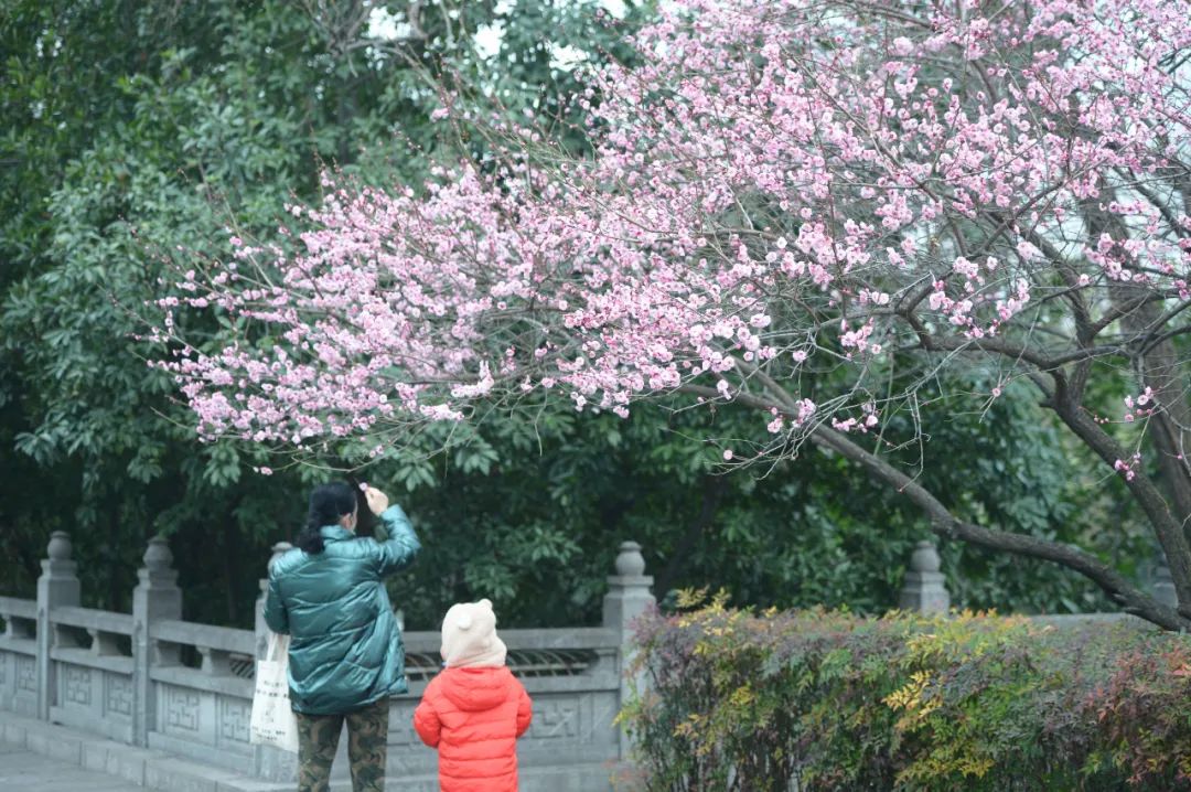 遇见公园翻唱,遇见公园在哪