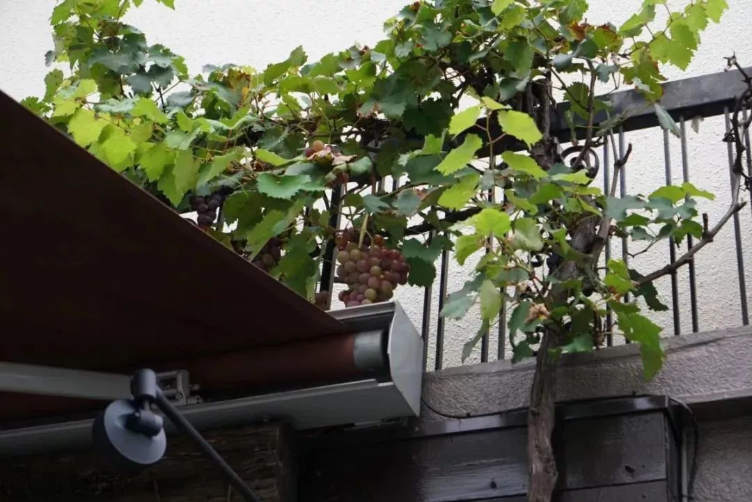 面包门店排名前十品牌,十大面包店品牌排名