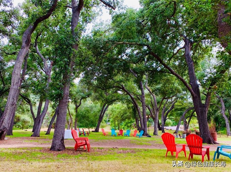 世界花园风景,世界花园