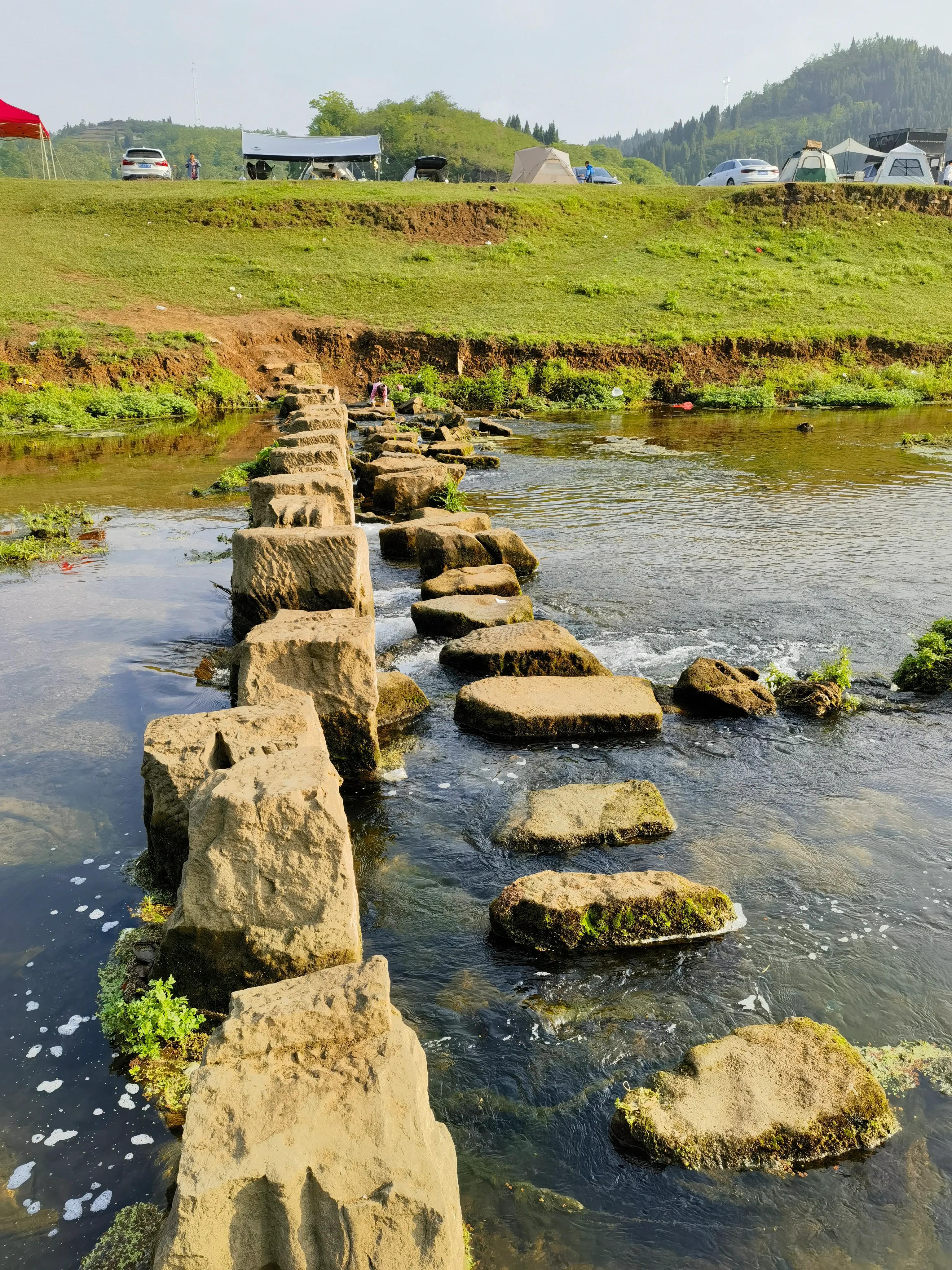 相见欢歌曲邓丽君,相见欢林花谢了春红