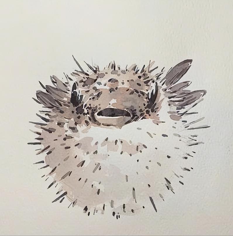 河豚毒性,河豚为什么吃了有毒的食物不中毒