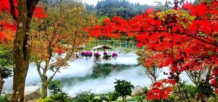 红枫岭有哪些景点,川西红枫岭旅游景点