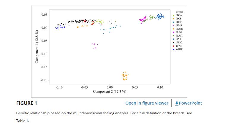 西西里尼罗猪的全基因组群体在意大利和世界性品种的框架