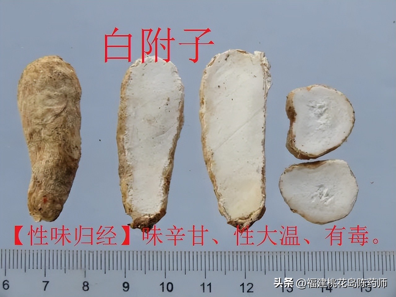 有毒的中药植物类药材,有毒的中药材