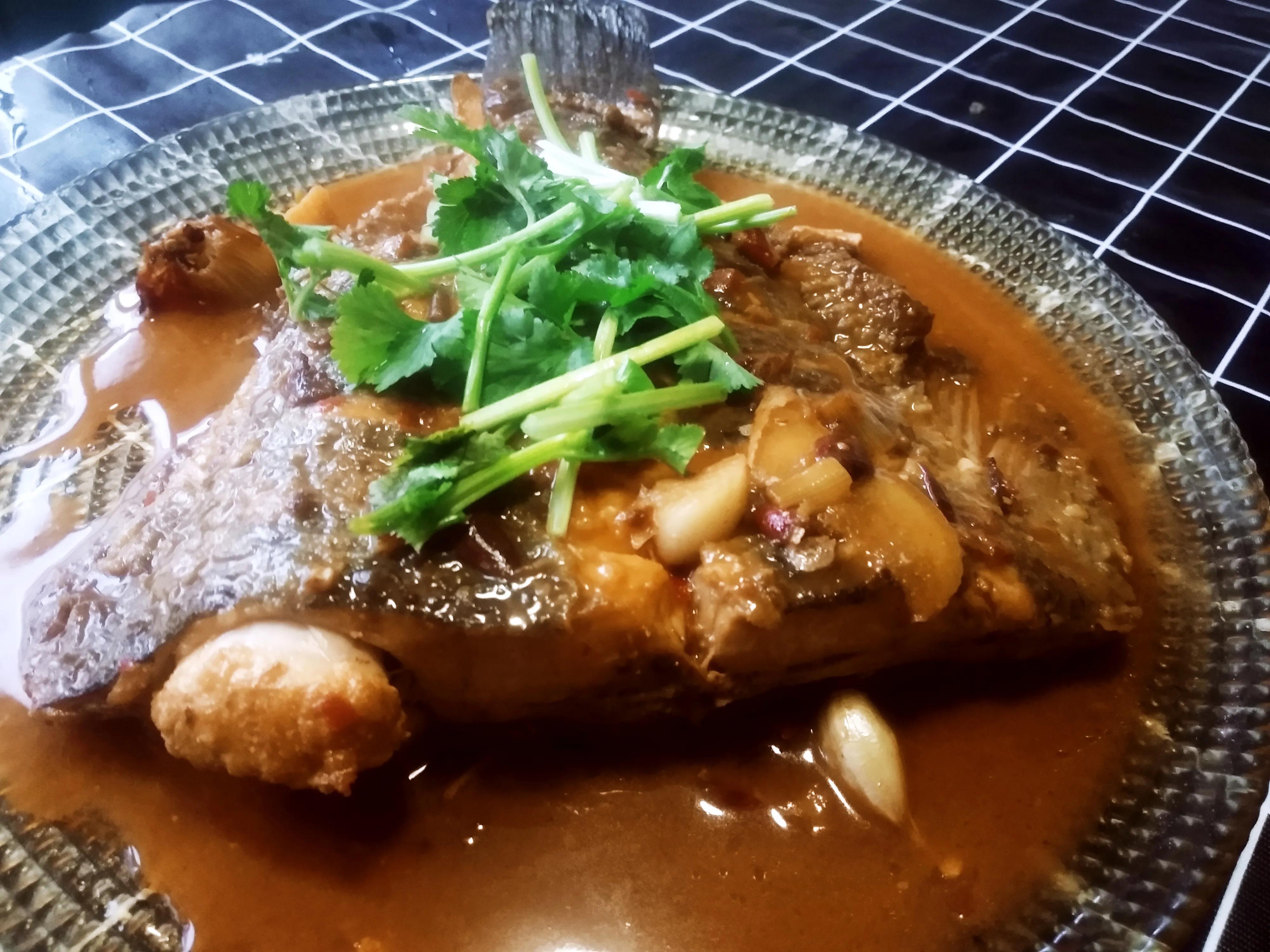 15种常见的海鱼,100种常见食用海鱼图谱