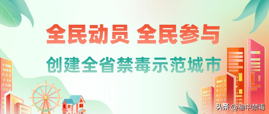 毒食品真相大揭秘,揭秘毒品真相24